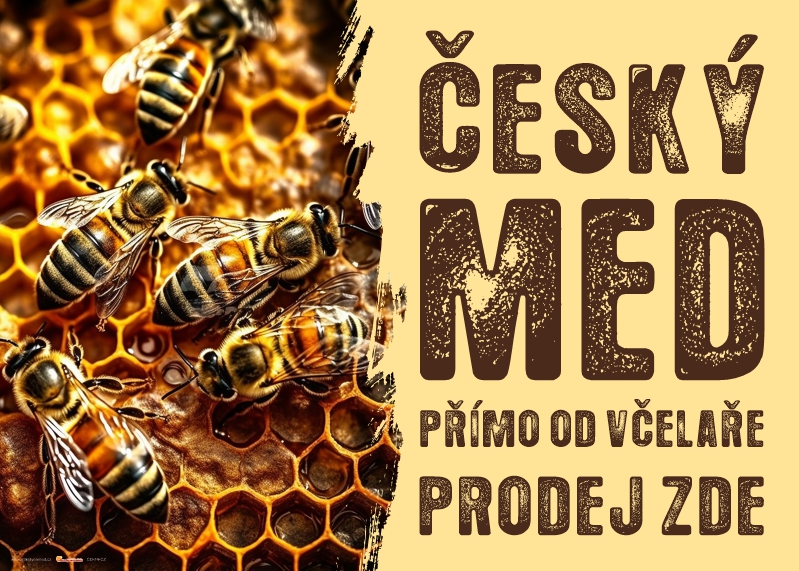 420x300-cd74