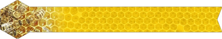 epp-48