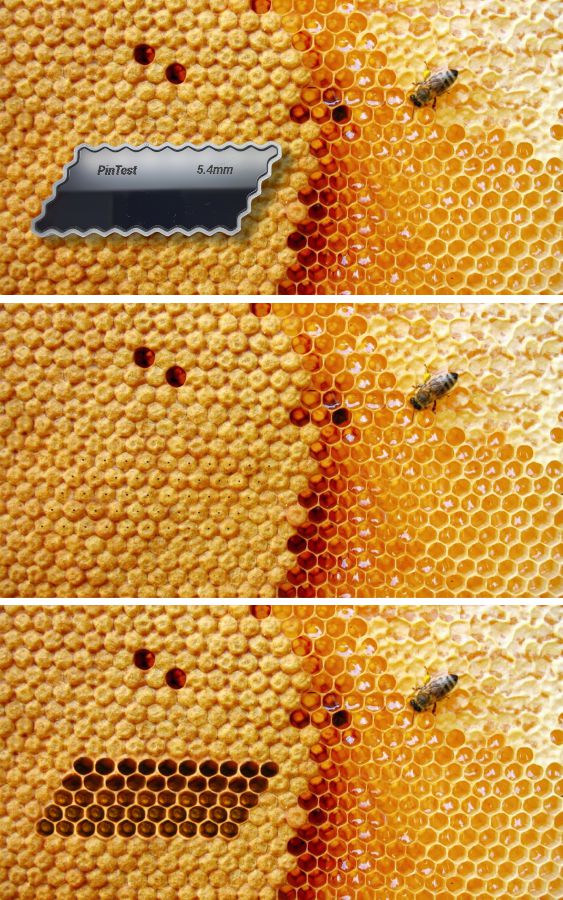 Pinchovák 5,1mm - pomůcka pro pin test